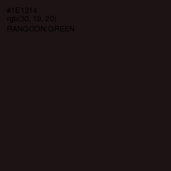 #1E1314 - Rangoon Green Color Image
